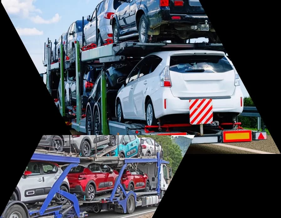 RPM Carriers
